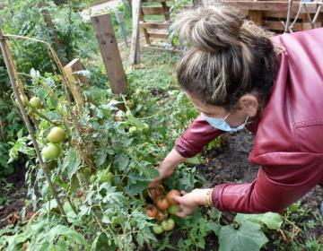 Potager bio et partagé